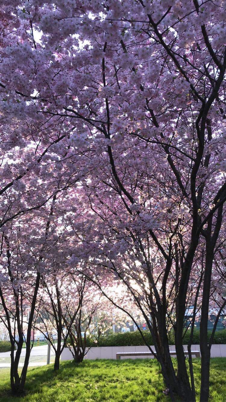 Maria Milewska 2.jpg